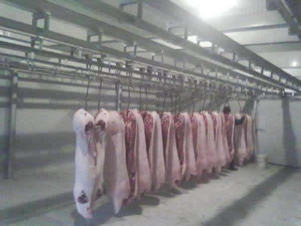 1000噸肉類(lèi)低溫冷凍庫(kù)建造成本需要多少錢(qián)？