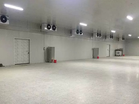 建造3000噸保鮮冷庫(kù)大概需要多少錢(qián)