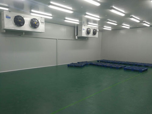 杭州建一個醫(yī)療冷庫的成本是多少錢