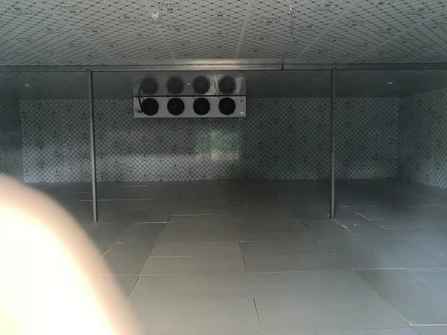 鮮花冷庫(kù)可行嗎？鮮花能不能放冷庫(kù)