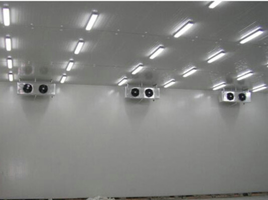 湖州冷庫安裝報價-小型醫(yī)藥冷庫-冷庫工程建造