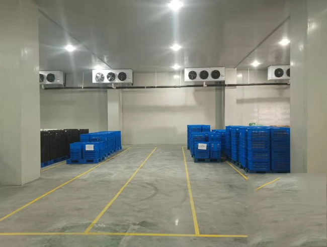 金華建一個水果冷庫需要多少錢？